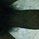 Chulbullal